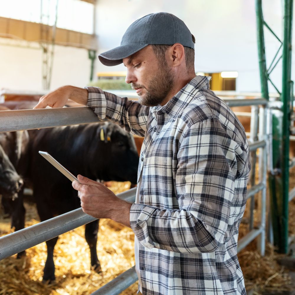 Farmer in a stable