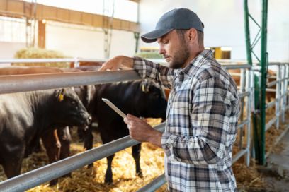 Farmer in a stable