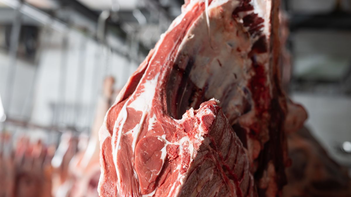 Raw beef in food production