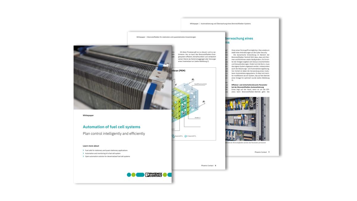 White paper – fuel cells