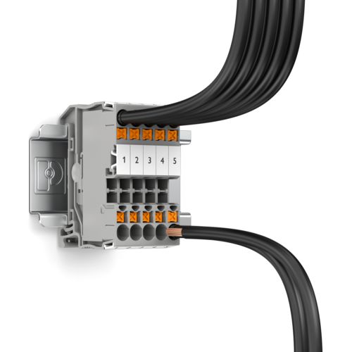 Connessione dei conduttori per morsetti componibili XT