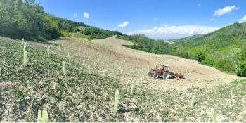 rattore che ara campo agricolo