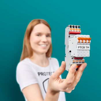Persona con protezione dei dispositivi termomagnetici in mano 