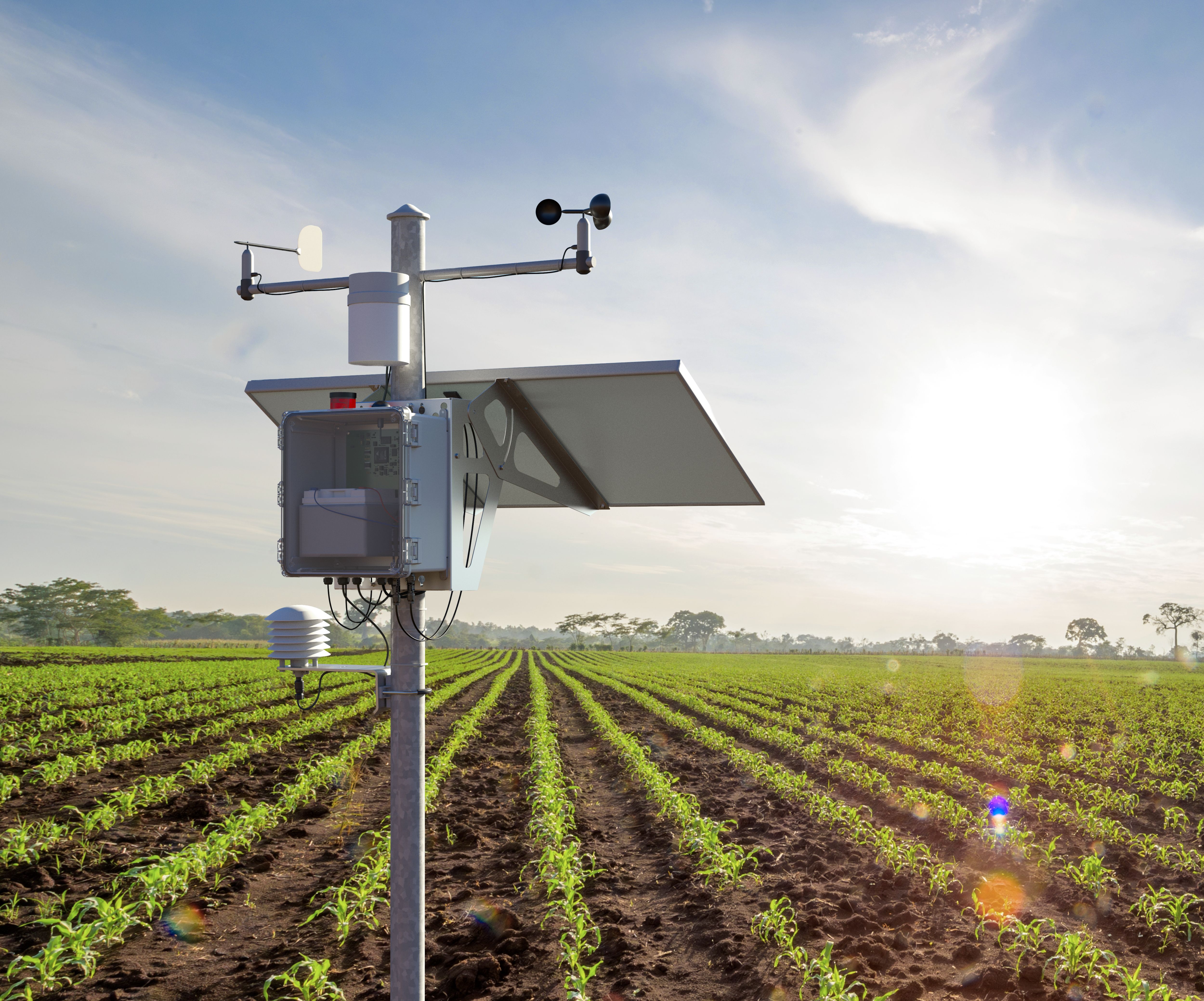 Solar-powered environmental monitoring station installed on a pole beside agricultural fields.