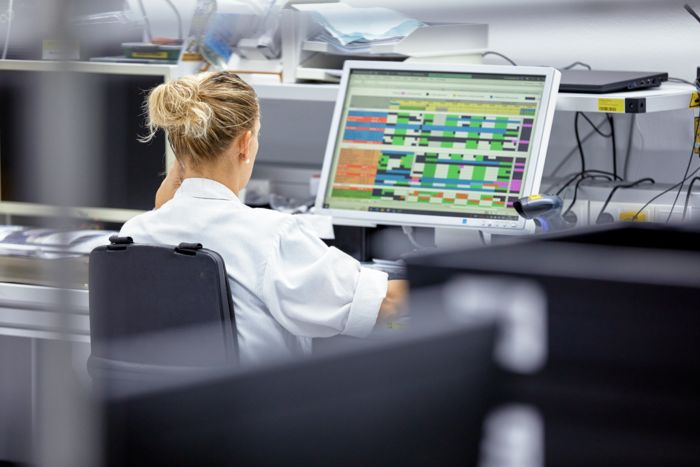 Person at a computer