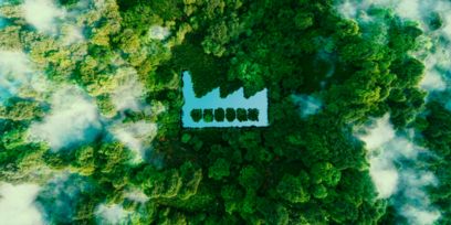 Luftbild eines grünen Walds mit See