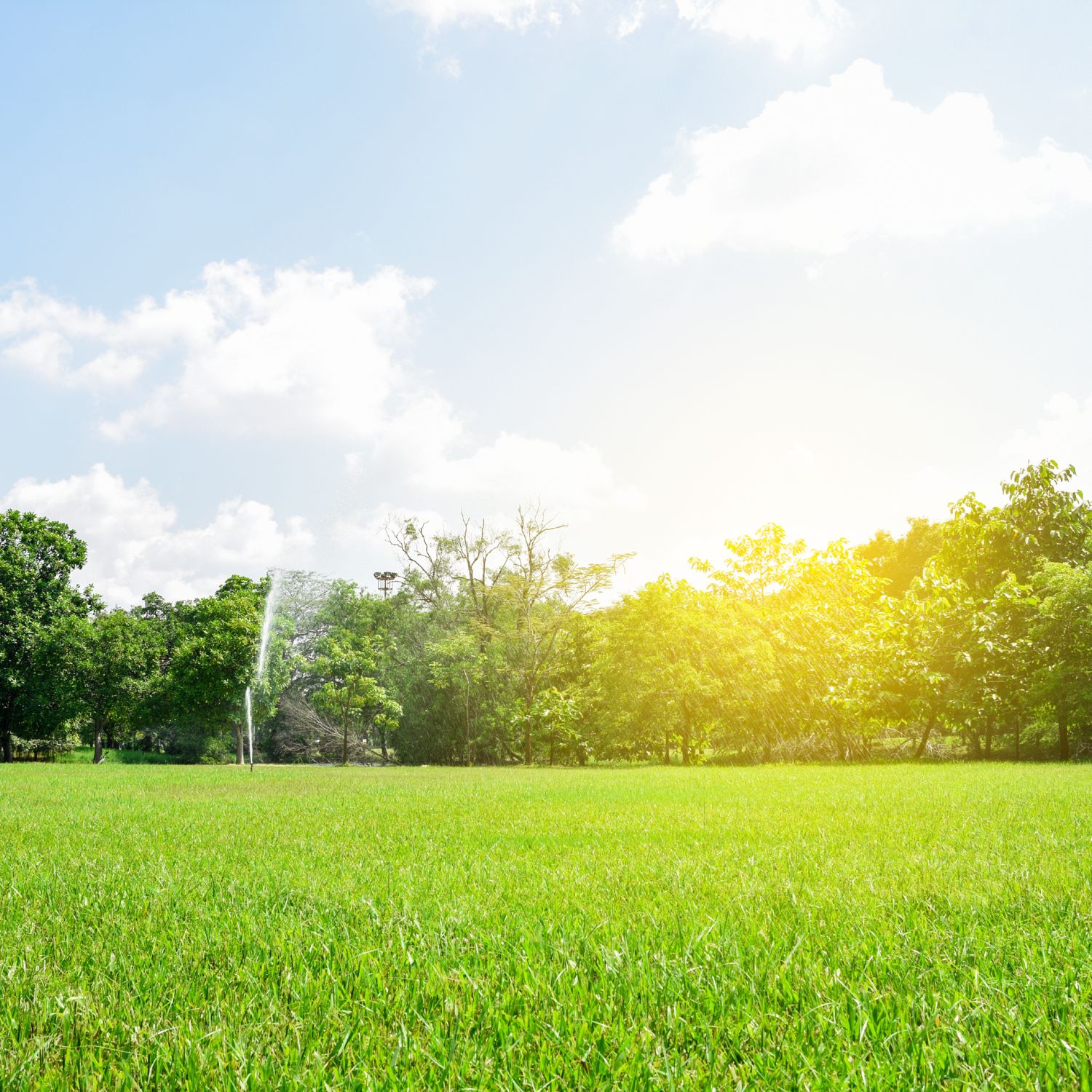 Green park
