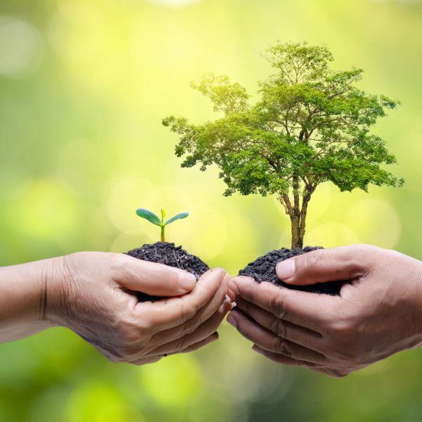 Sustainability
