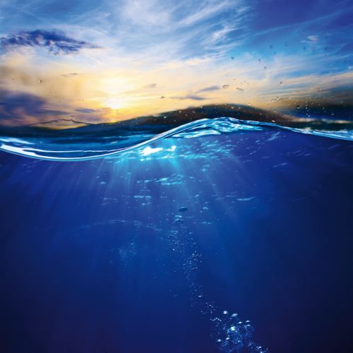 Aqua Nor 2025