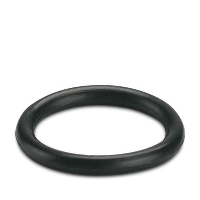 WP-OR M12 - Dichtring
