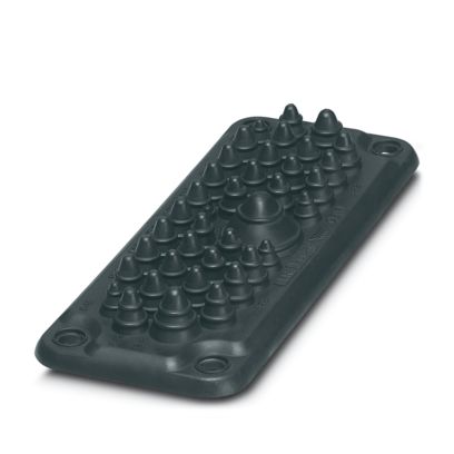 Image principale web