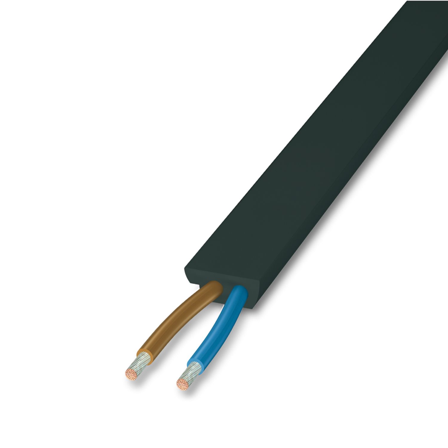 VS-ASI-FC-PVC-UL-BK 100M - Flat cable - 1404919 | Phoenix