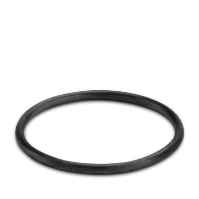 WP-OR M32 - Dichtring