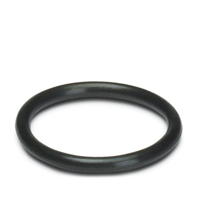 WP-OR M10 - Dichtring