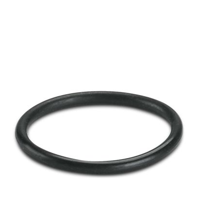 WP-OR M25 - Dichtring