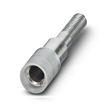 Image principale web