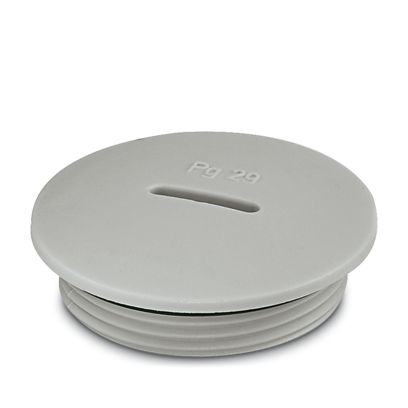 A-INSP-PG29-65N-P-LG - Screw plug (1424525)