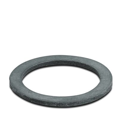 WP-FS IP68 M40 - Flachdichtung