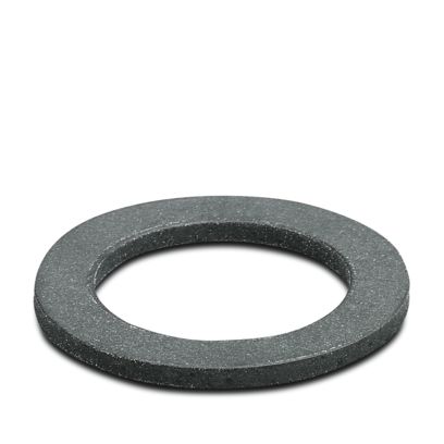 WP-FS IP68 M25 - Flachdichtung