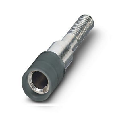 Image principale web