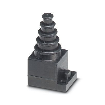 Image principale web