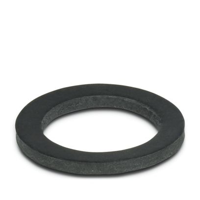 WP-FS IP68 M10 - Flachdichtung