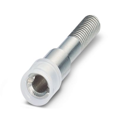 Image principale web