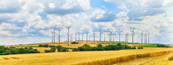 Wind turbine generator in a cereal field