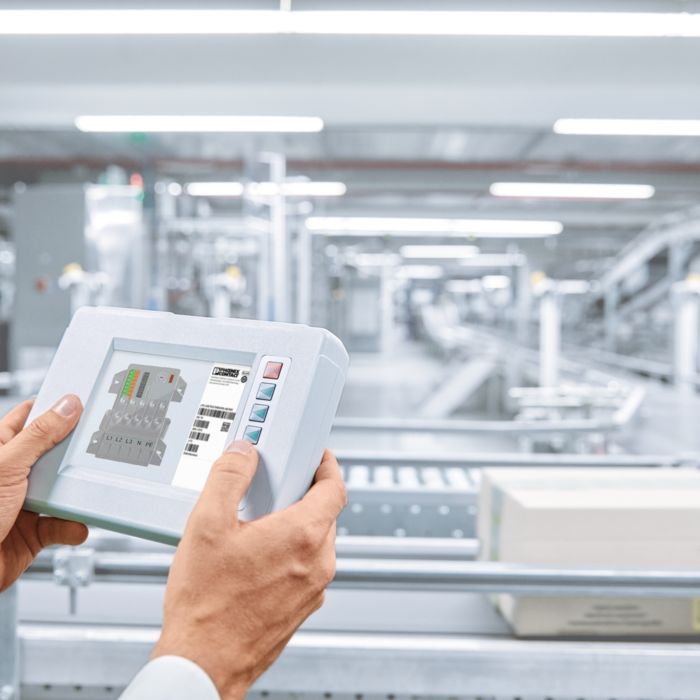 Display device in both hands