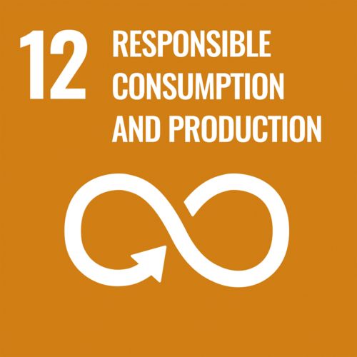Image for sustainability development goal number 12