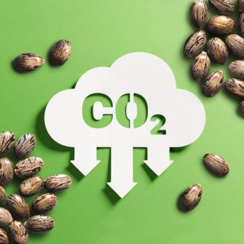 Simbolo di CO₂ con semi di ricino