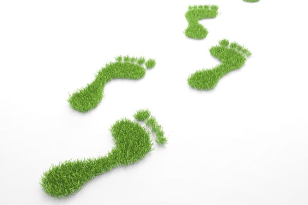TWIN design footprint