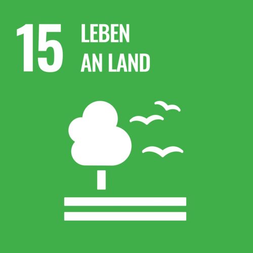 Image for sustainability development goal number 15