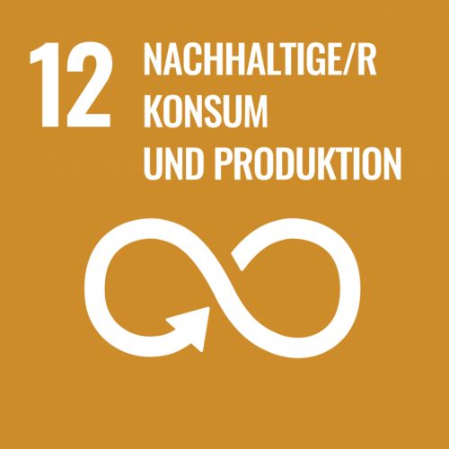 Image for sustainability development goal number 12