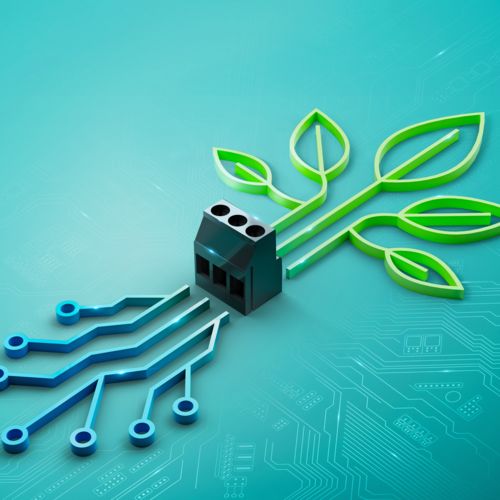 Bio-based plastic products