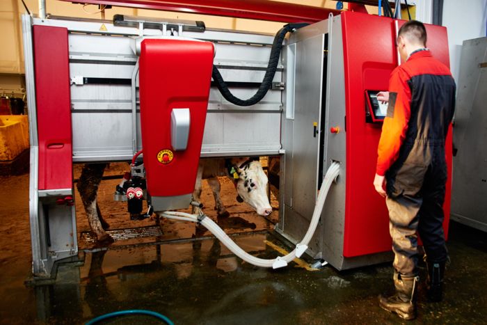 Automatisiertes Melksystem  