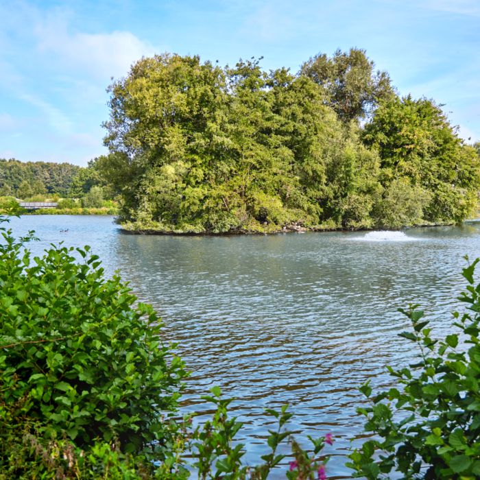 A lake view