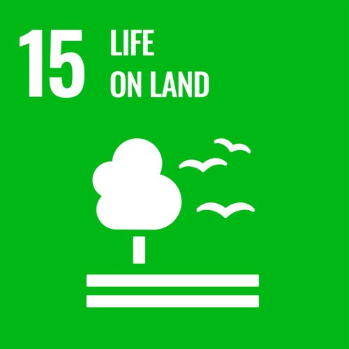 Image for sustainability development goal number 15