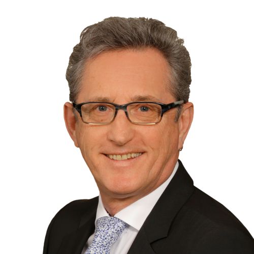 Director Channel Partner Management