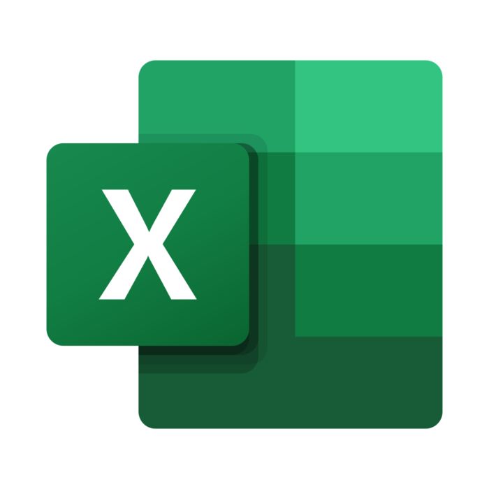 Przygotuj projekt w pliku Excel