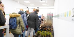 Odbierz swoją sadzonkę na 100-lecie 