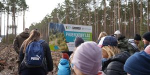 Marzec miesiącem sadzenia drzew