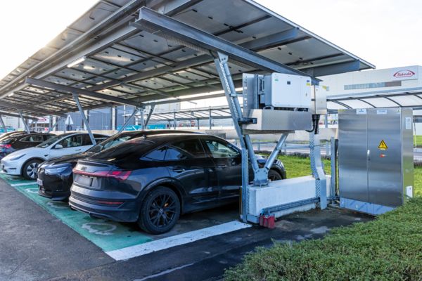 Bornes de recharge pour votre entreprise : durables et rentables