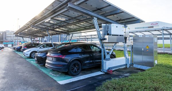 Bornes de recharge pour votre entreprise : durables et rentables