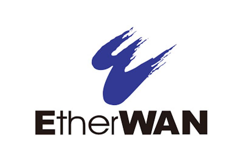 EtherWAN Systems, Inc. logo