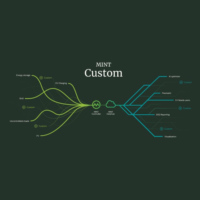 MINT Custom: 100% személyre szabott