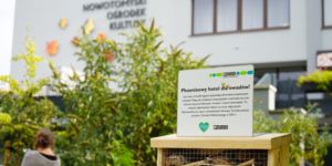 Budka dla owadów