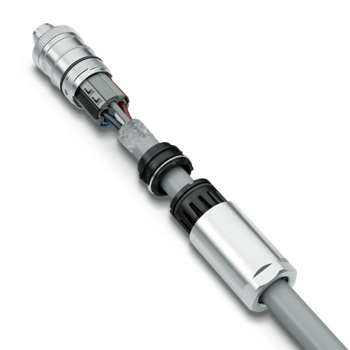 M12-Steckverbinder mit Push-Lock-Anschluss