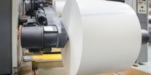 Rotating machine with a paper roll