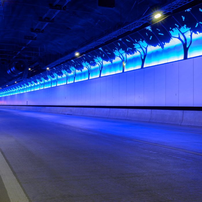Backlit silhouettes of trees and starry sky in the NorthConnex tunnel